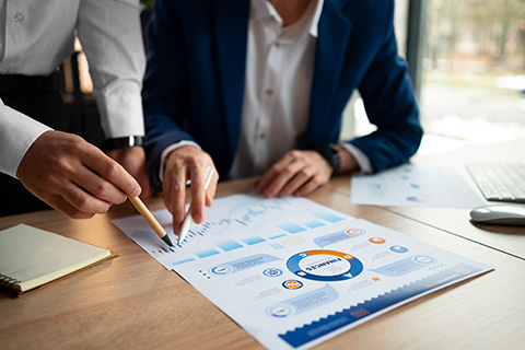 Strategic & Commercial Advisory